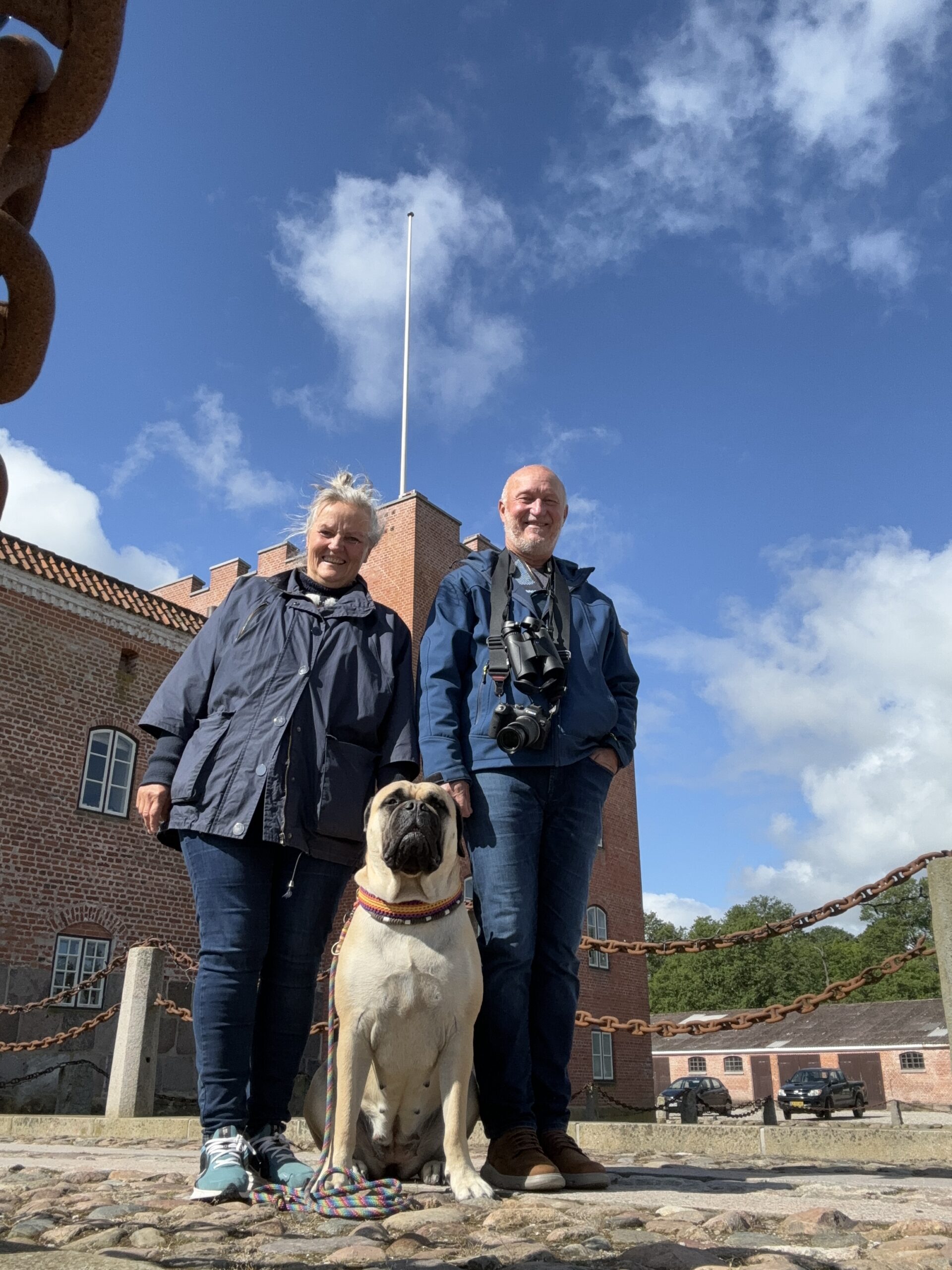 bullmastiff-familie-foran-broholmslot